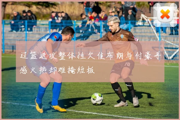 辽篮进攻整体性欠佳布朗与付豪手感火热却难掩短板