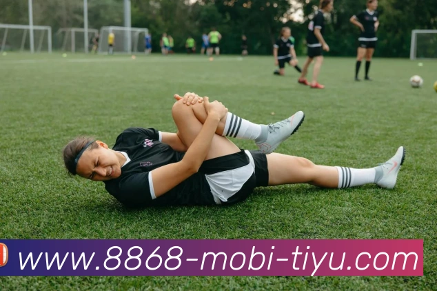 8868体育发展历程